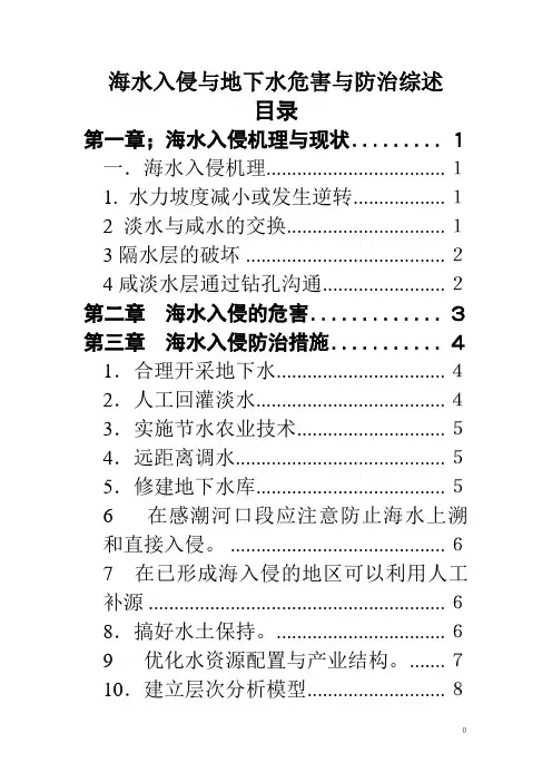 海水入侵与地下水危害防治综述汇总
