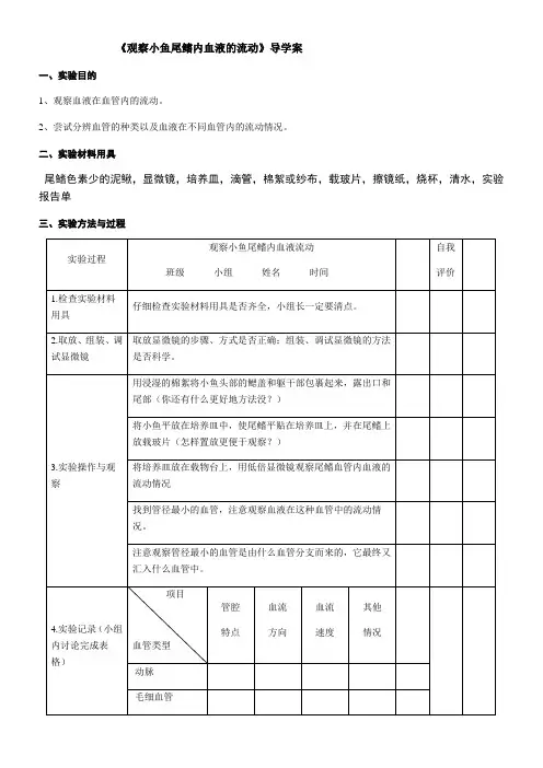 《观察小鱼尾鳍内血液的流动》的实验报告