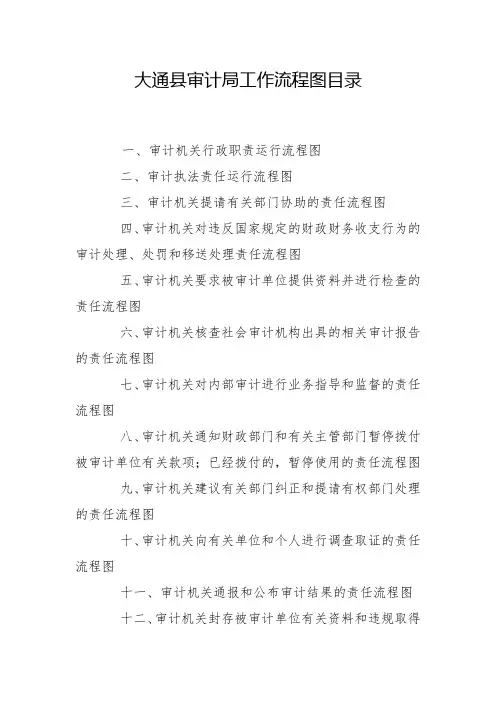 大通县审计局工作流程图目录