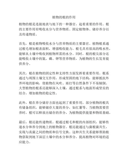 植物的根的作用