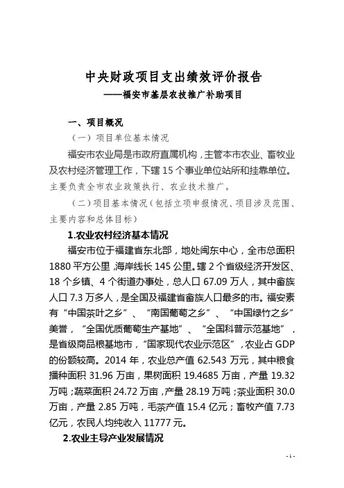 中央财政项目支出绩效评价报告