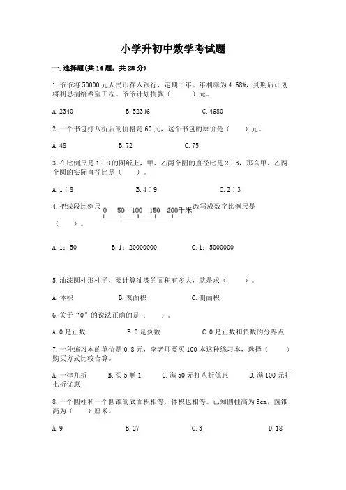小学升初中数学考试题(名校卷)