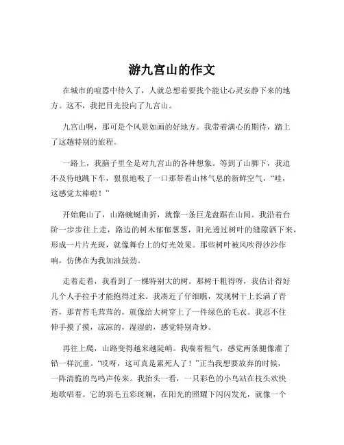 游九宫山的作文