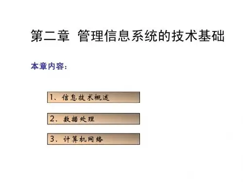 第2章 MIS的技术基础