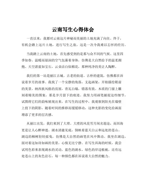 云南写生心得体会