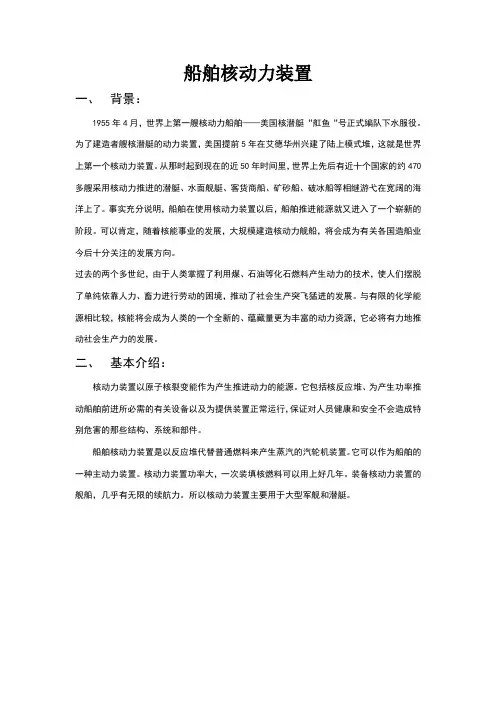 核动力装置
