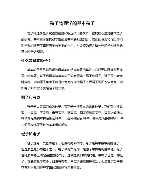粒子物理学的基本粒子