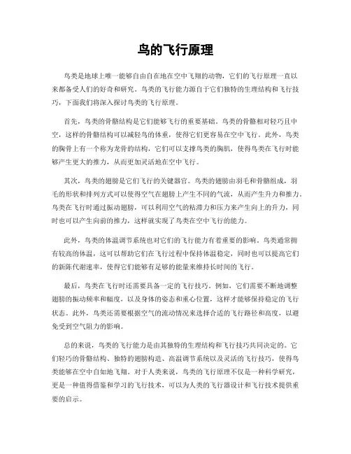 鸟的飞行原理