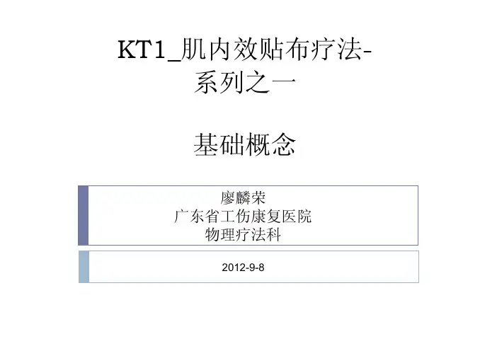KT 肌内效贴布疗法基础概念
