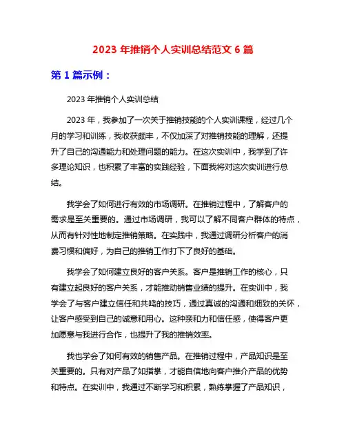 2023年推销个人实训总结范文6篇