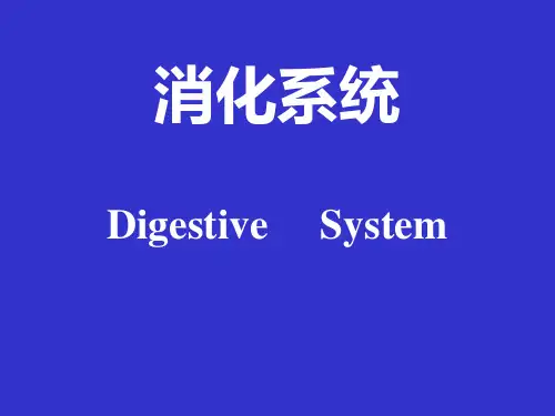 组织学与胚胎学：14消化管14