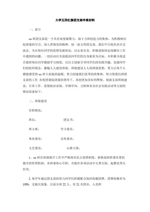 大学五四红旗团支部申报材料