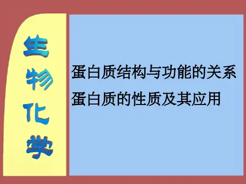 蛋白质结构与功能关系