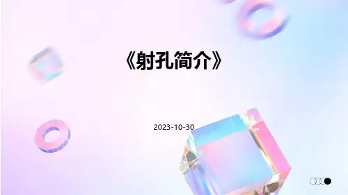 射孔简介(待编辑)