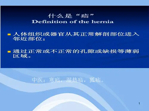 常见疝CT影像诊断医学PPT课件