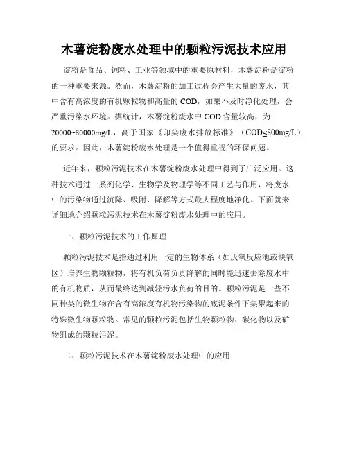 木薯淀粉废水处理中的颗粒污泥技术应用