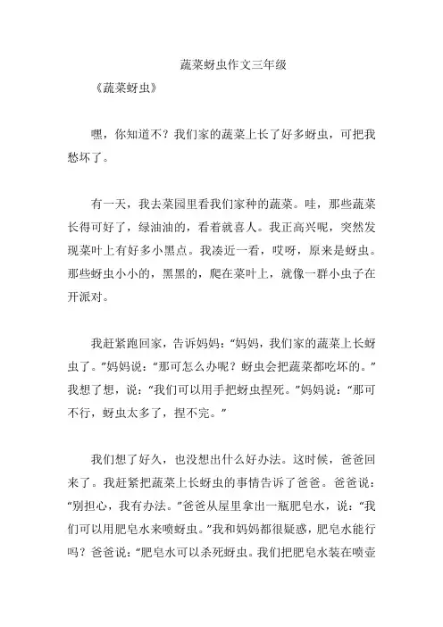 蔬菜蚜虫作文三年级