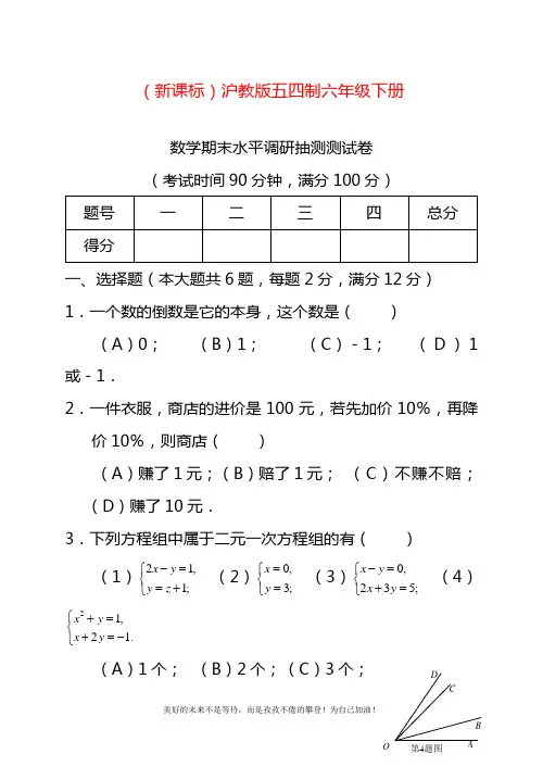 2020—2021年最新沪教版(五四制)六年级数学下册期末水平调研抽测卷及答案.docx