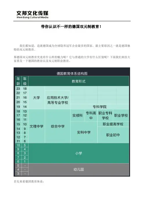 带你认识不一样的德国双元制教育!