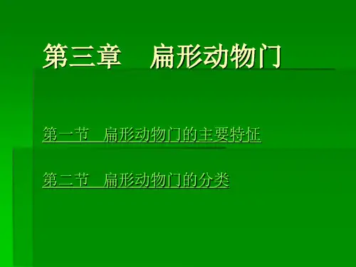 第三章  扁形动物