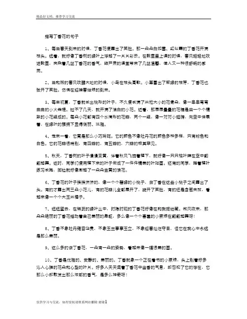 最新描写丁香花的句子
