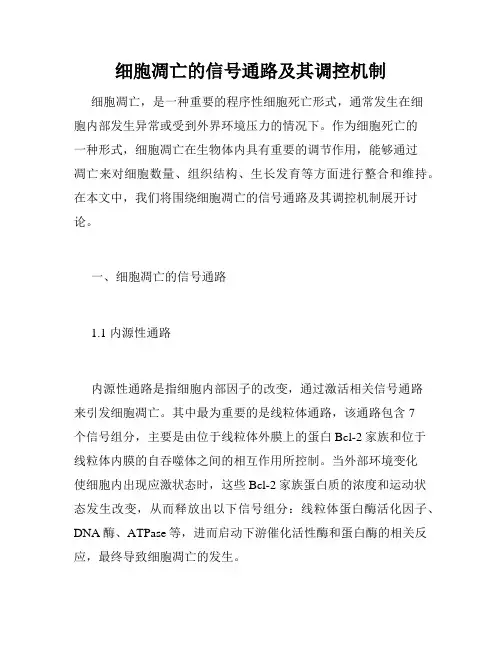 细胞凋亡的信号通路及其调控机制