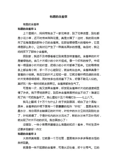 有趣的含羞草