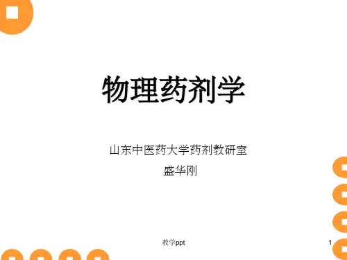 物理药剂学第一三章