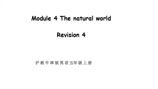 牛津上海版三起英语五年级上册Module 4Thenatural world Revision4课件