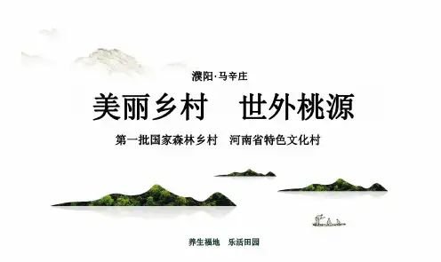 濮阳开发区幸福办马辛庄文旅小镇招商推介ppt