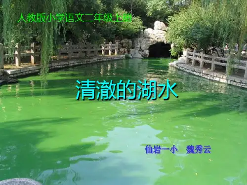 清澈的湖水课件(5套)