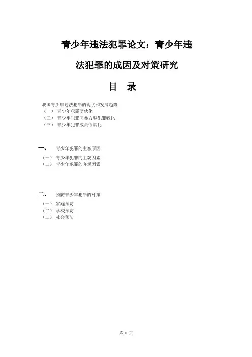 青少年违法犯罪论文
