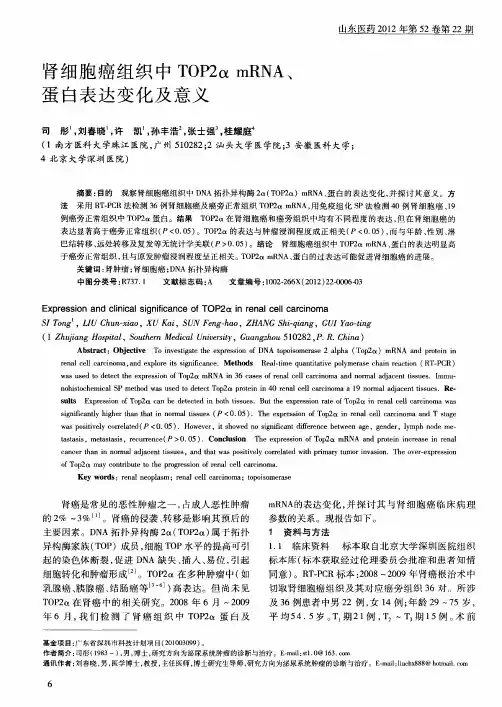 肾细胞癌组织中TOP2α mRNA、蛋白表达变化及意义