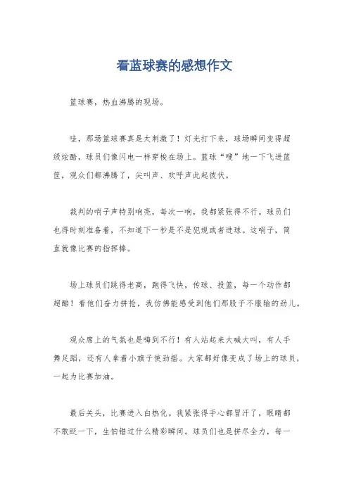 看蓝球赛的感想作文