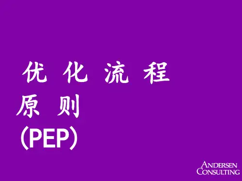 优化流程原则(PEP)