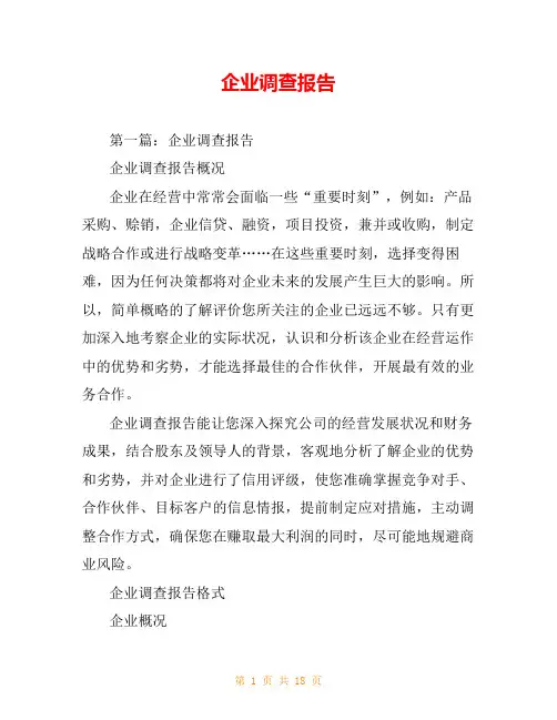 企业调查报告