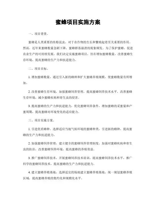 蜜蜂项目实施方案