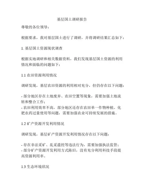 基层国土调研报告