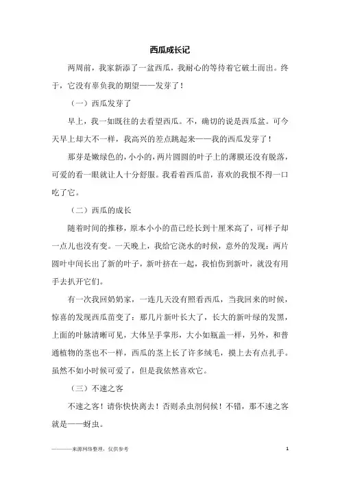 西瓜成长记_六年级作文