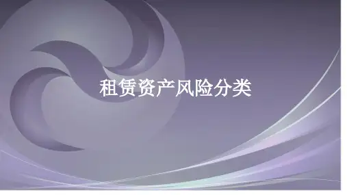 资产风险分类