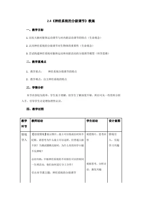 2.4《神经系统的分级调节》教案【新教材】人教版(2019)高中生物选择性必修一