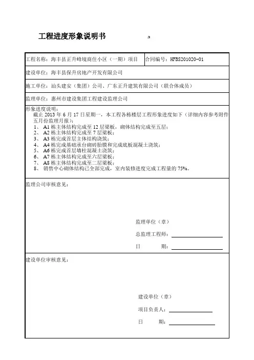工程形象进度说明书