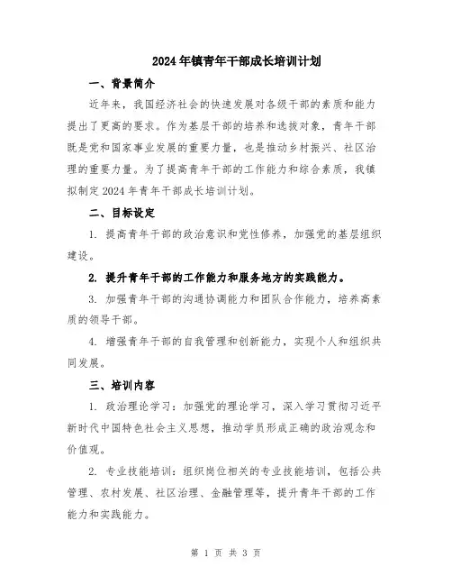2024年镇青年干部成长培训计划