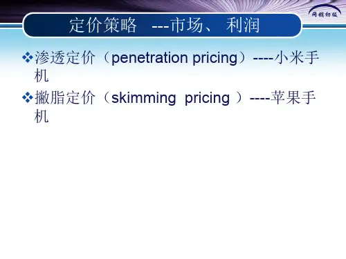定价策略(案例)
