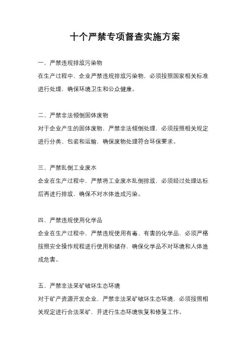 十个严禁专项督查实施方案
