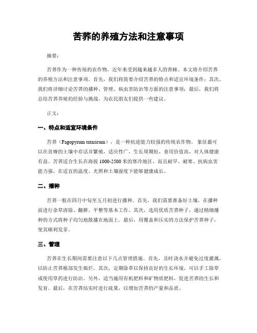苦荞的养殖方法和注意事项