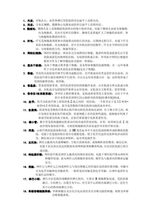 组胚~名词解释