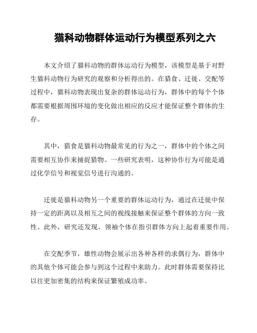 猫科动物群体运动行为模型系列之六