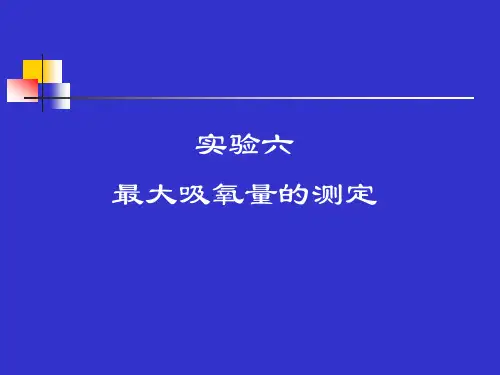 最大吸氧量的测定