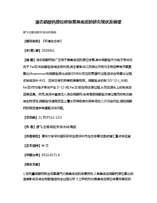 液态硝酸钙原位修复黑臭底泥的研究现状及展望